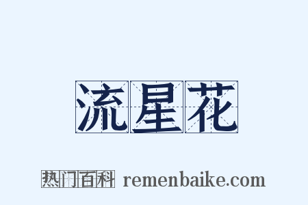 流星花是什么意思的图片